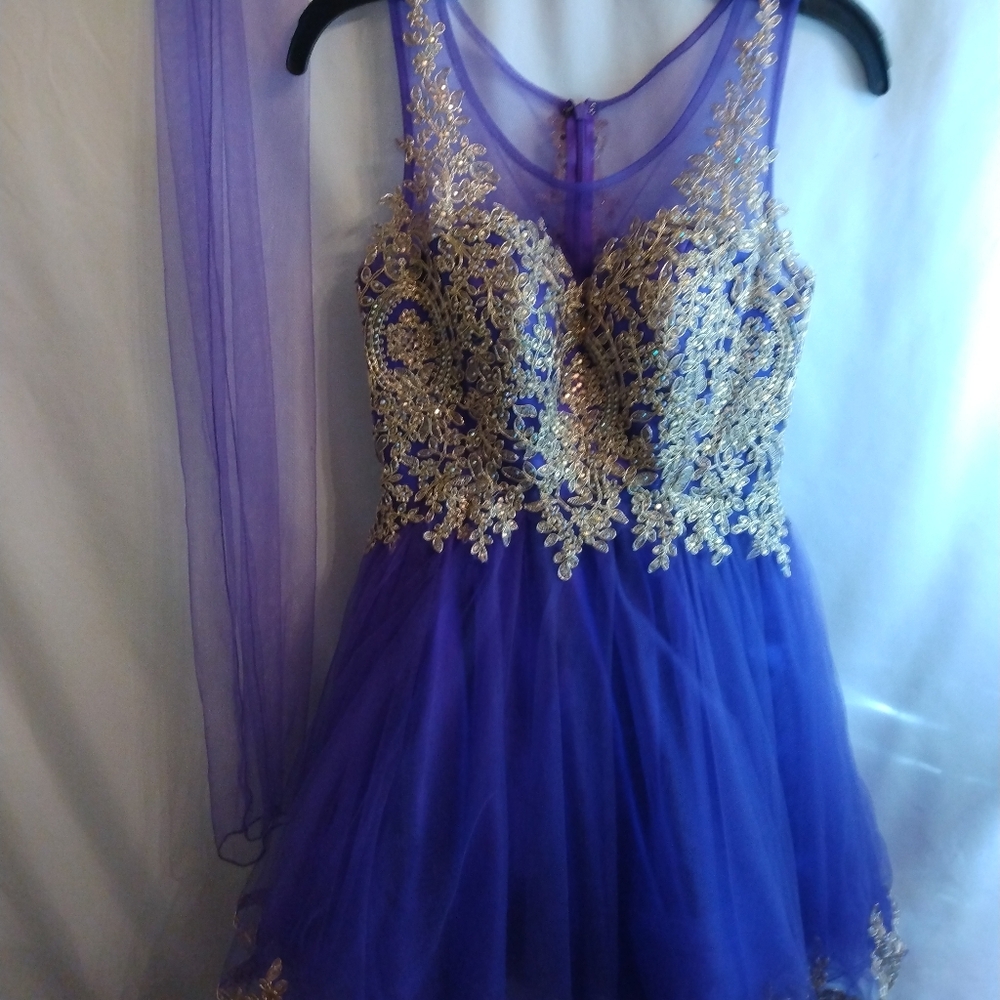 Fiesta Fashion Embelish Dress Gown